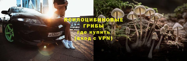 ПСИЛОЦИБИНОВЫЕ ГРИБЫ Бугульма