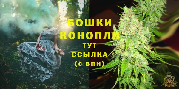 ПСИЛОЦИБИНОВЫЕ ГРИБЫ Бугульма