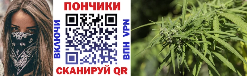 Каннабис индика  Иваново 